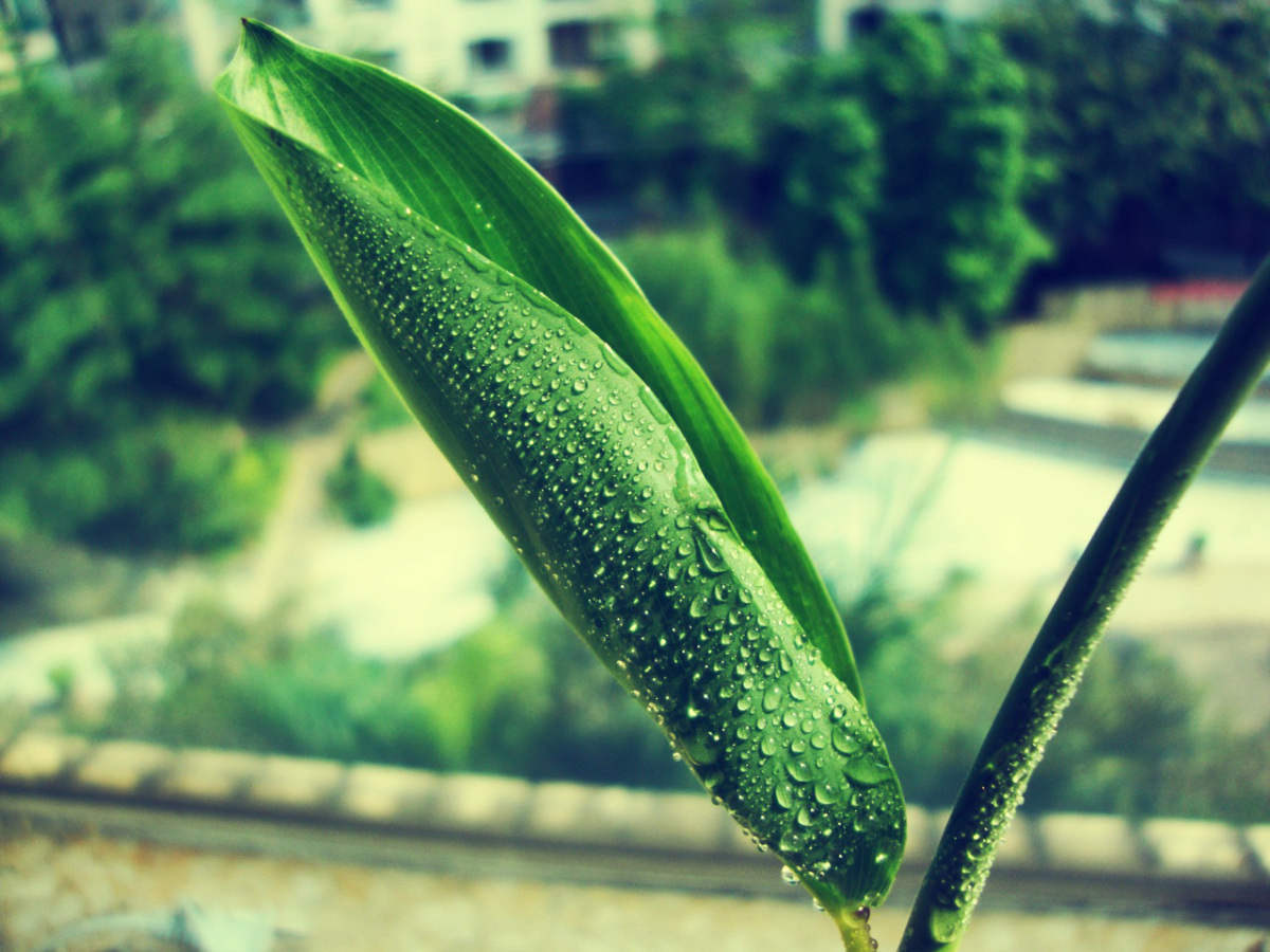 Cover Image of the Post